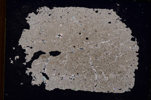 Cross Polarized, E3825