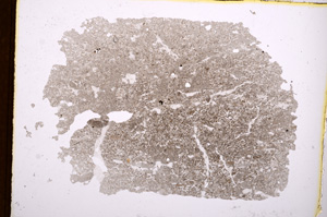 Plane Polarized, E3825