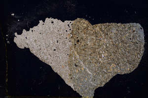 Cross Polarized, E3828