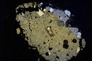 Cross Polarized, E3834