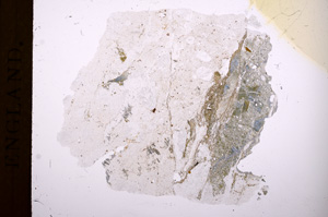 Plane Polarized, E3841