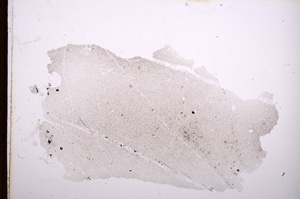 Plane Polarized, E3843