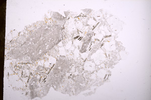 Plane Polarized, E3852