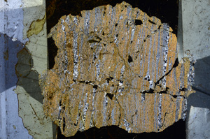 Cross Polarized, E3859