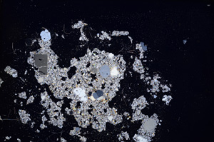 Cross Polarized, E3865