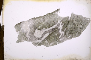 Plane Polarized, E3884