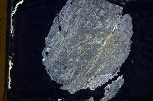 Cross Polarized, E3885
