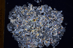 Cross Polarized, E3889