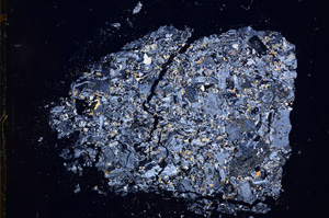 Cross Polarized, E3890