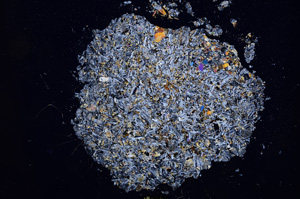 Cross Polarized, E3891