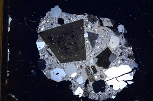 Cross Polarized, E3895