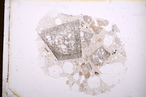 Plane Polarized, E3895