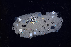 Cross Polarized, E3896