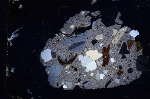 Cross Polarized, E3897