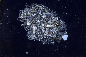 Cross Polarized, E3898