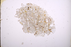 Plane Polarized, E3898