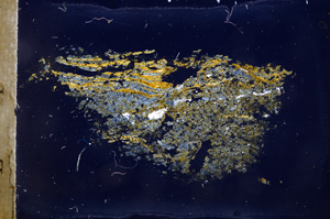 Cross Polarized, E3900