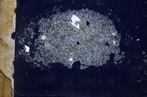 Cross Polarized, E3902