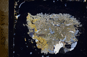 Cross Polarized, E3903