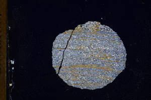 Cross Polarized, E3904