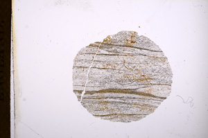 Plane Polarized, E3904