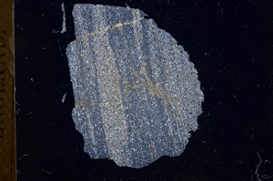 Cross Polarized, E3907