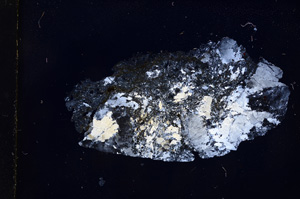 Cross Polarized, E3917