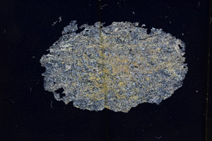 Cross Polarized, E3918