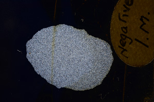 Cross Polarized, E3954