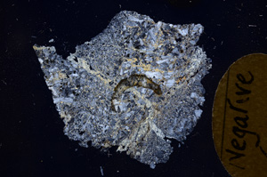 Cross Polarized, E3959