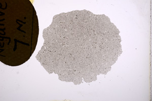 Plane Polarized, E3960