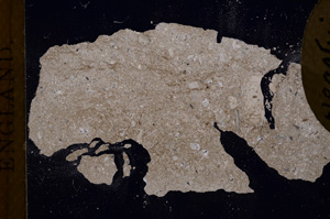 Cross Polarized, E3966