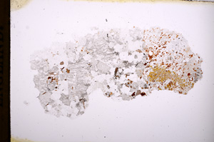 Plane Polarized, E3982