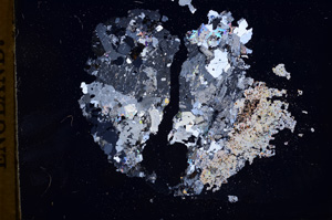 Cross Polarized, E3983