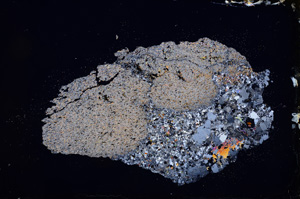 Cross Polarized, E3984