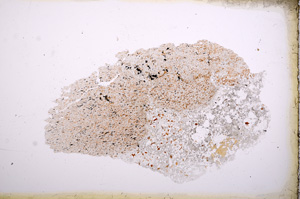 Plane Polarized, E3984