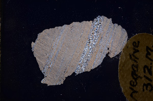 Cross Polarized, E3985