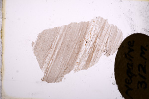 Plane Polarized, E3985