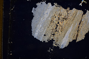 Cross Polarized, E3986