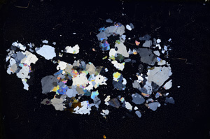 Cross Polarized, E3991