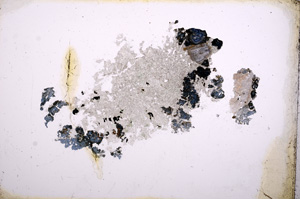 Plane Polarized, E3992