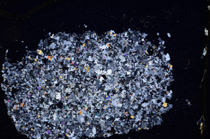 Cross Polarized, E3993