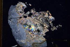 Cross Polarized, E3995