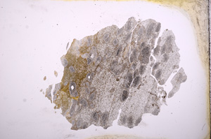 Plane Polarized, E3997