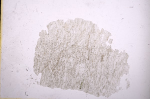 Plane Polarized, E4011
