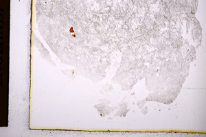 Plane Polarized, E4014