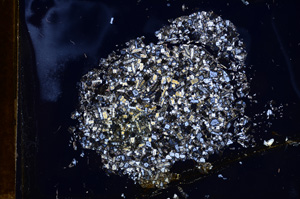 Cross Polarized, E4019