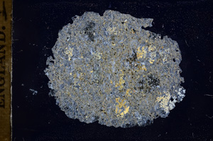 Cross Polarized, E4023
