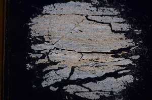 Cross Polarized, E4037