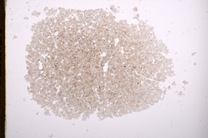 Plane Polarized, E4054